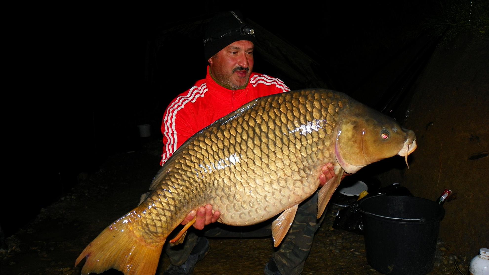 Crapmania (3) - 2011 - 1001657.JPG